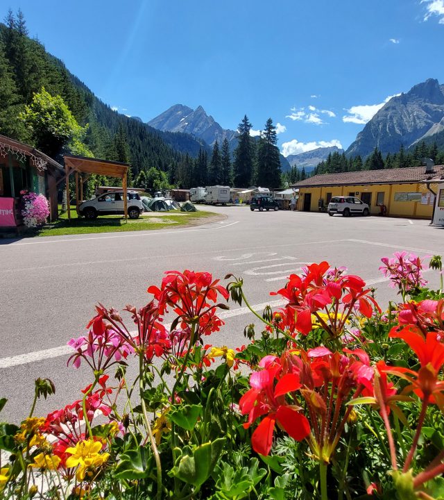 Servizi